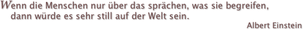 Wenn die Menschen nur über das sprächen, was sie begreifen, 
    dann würde es sehr still auf der Welt sein.
Albert Einstein